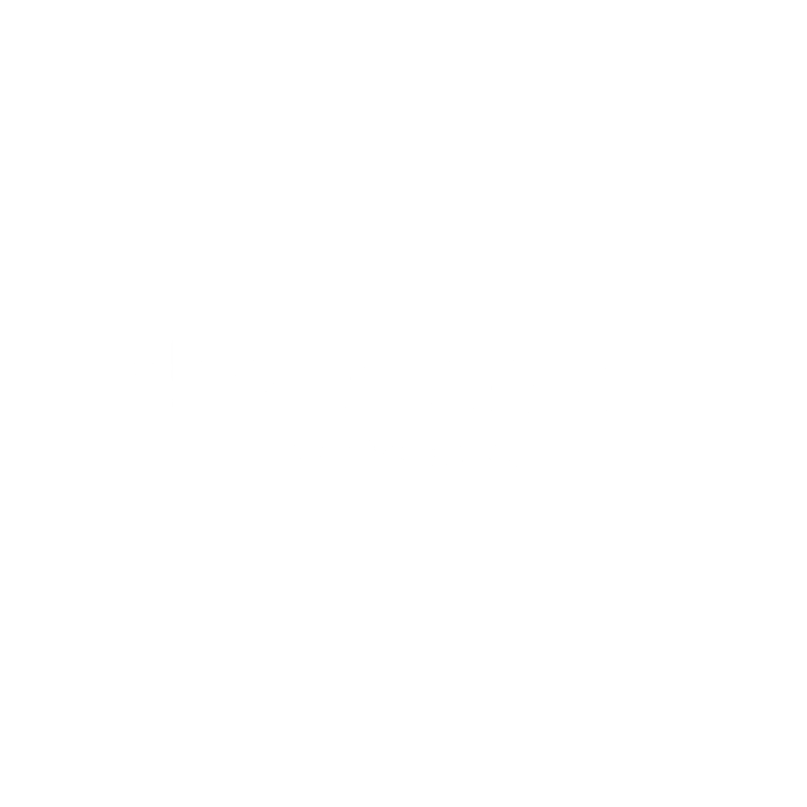 The Visioners creative agency